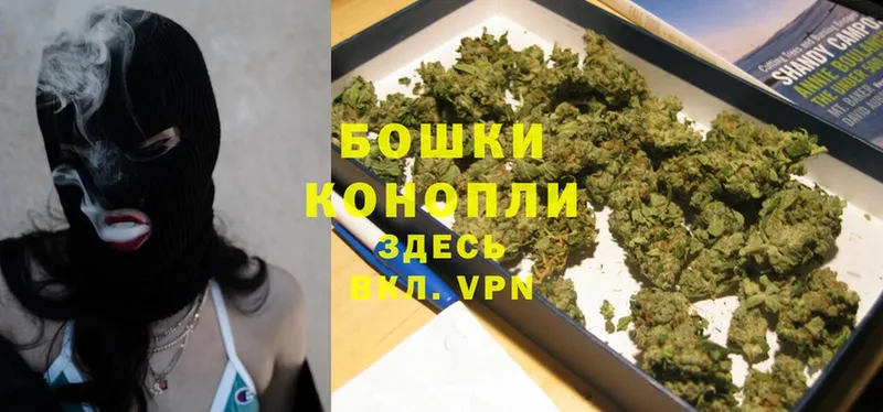 Бошки Шишки Bruce Banner  купить наркотик  Пугачёв 